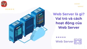 Web Server là gì? Vai trò và cách hoạt động của Web Server